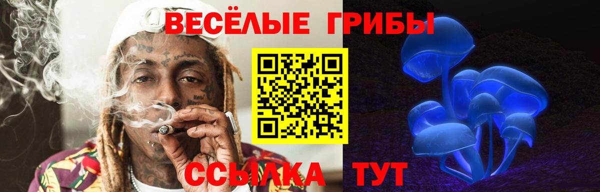 хочу   Псилоцибиновые грибы Cubensis  Вход с VPN  Псилоцибиновые грибы Psilocybine cubensis  Великий Устюг 