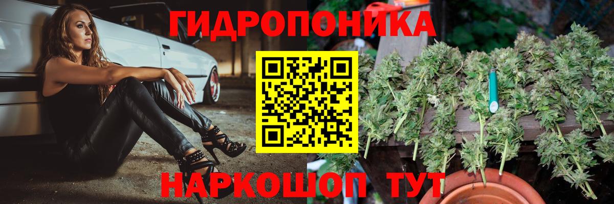 Конопля план Великий Устюг